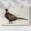 Pheasant Splash 1-Gallery Wrapped Canvas-43957672