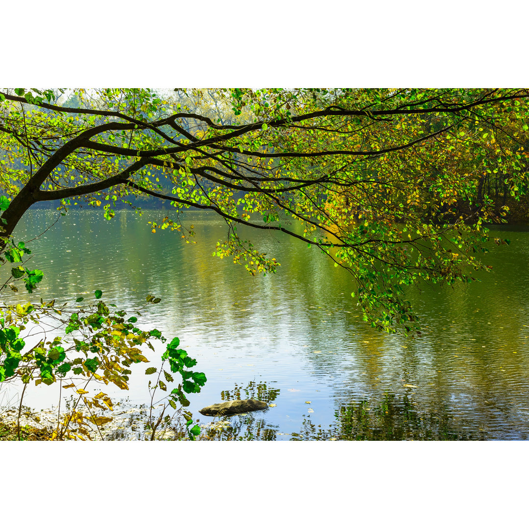 Leinwandbild Baumzweig mit bunten Blättern über See