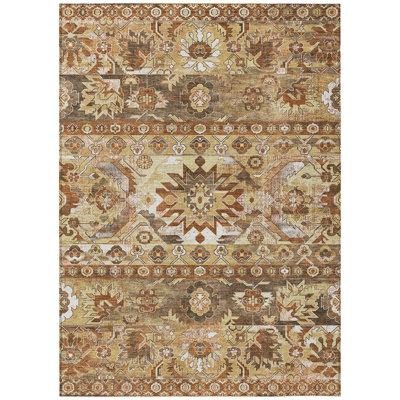 Machine Washable Indoor/Outdoor Chantille ACN2638 Global Rug