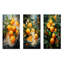Orange tropicale-426452202-426452200