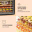 Klarstein Jerky 500W Food Dehydrator