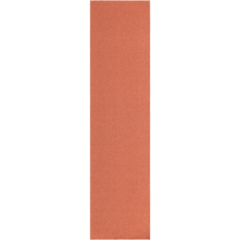 Indoor Rug, Runner 2'6" x 10'