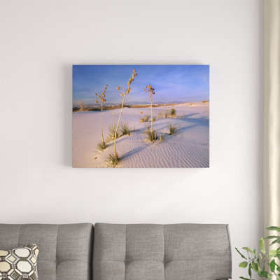 " White Sands National Monument "