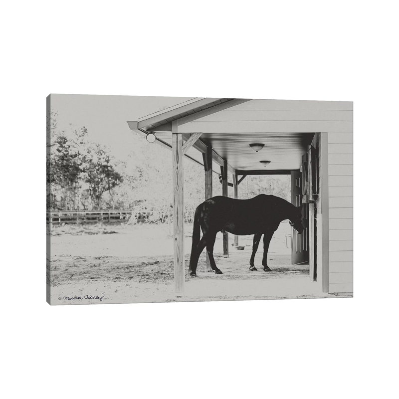 Horse At Home by Melissa Hanley - Wrapped Canvas Print, 20.32 cm H x 30.48 cm W