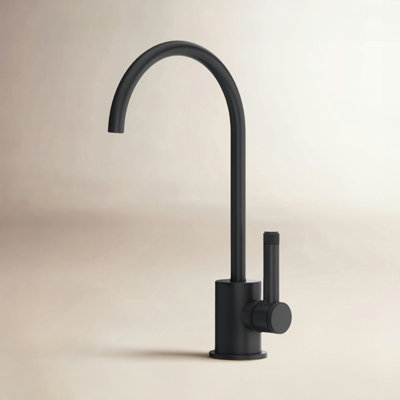 AllModern Jacalyn Kitchen Faucet Side Spray