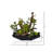 9'' Faux Succulent in Ceramic Pot