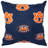 NCAA Square Pillow Cover & Insert-25193401