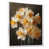 White Floater Framed