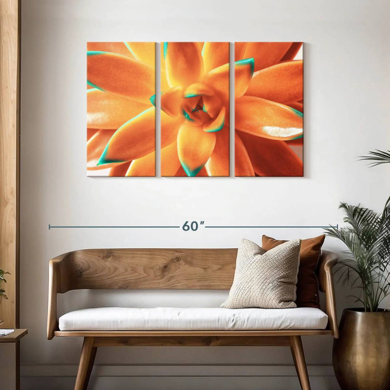 Plante grasse orange Harnek, H 28 po x l 45 po