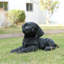 Animals Polyresin Garden Statue-1665422979