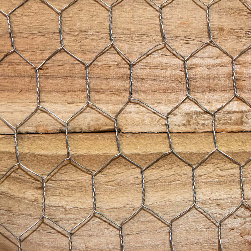 Samuel Alexander 90cm H x 2.5cm W Metal Border Fencing