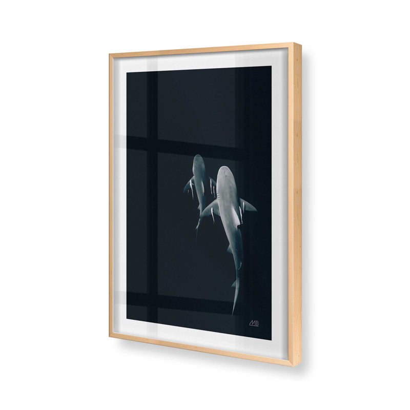 Serene Shark Shadows Print, 25" H x 19" W, Raw Maple