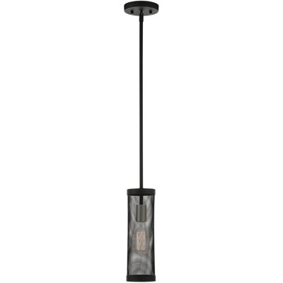 1 - Light Single Pendant