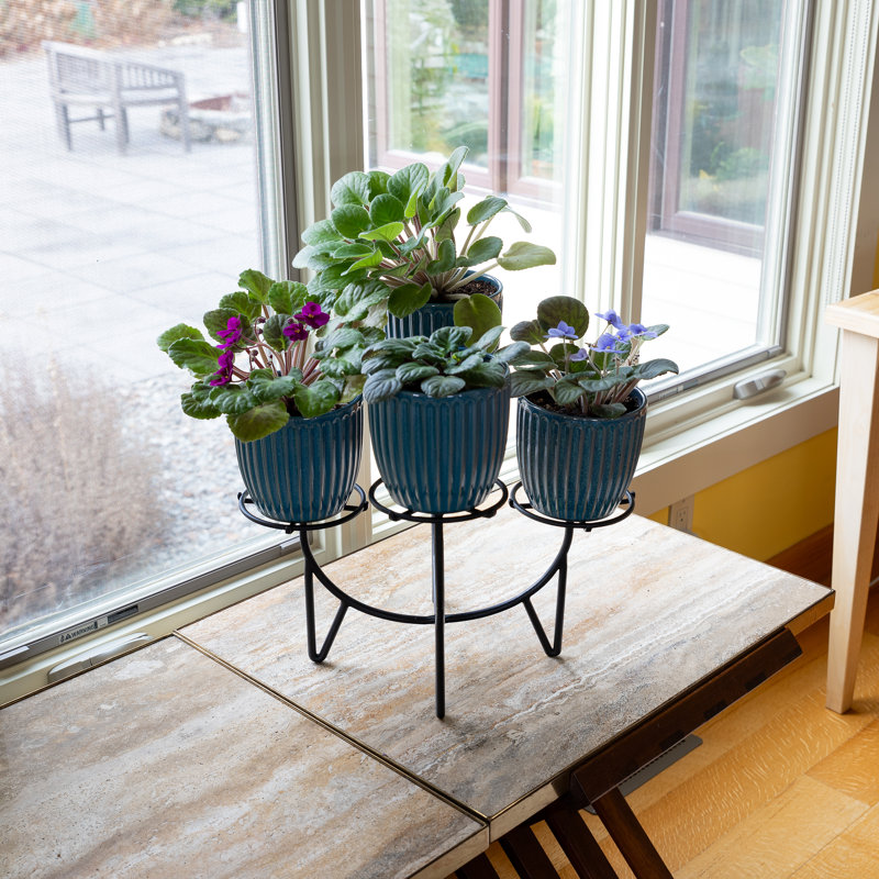 Black Iron Mid-Century Modern Multi-Tier Plant Stand