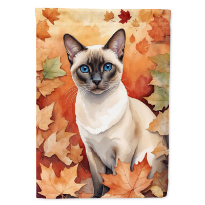 Chat en feuilles d'automne