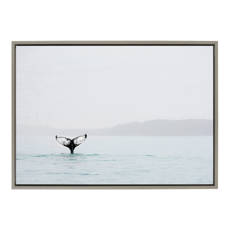 «Whale Tail in The Mist» par Amy Peterson, reproduction d'art sur toile encadrée