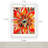 White Picture Frame - Set of 2 with Mat