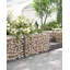 Cerina 50 cm H x 100 cm W Steel Border Fencing