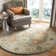Chaim Hand Tufted Wool Oriental Rug