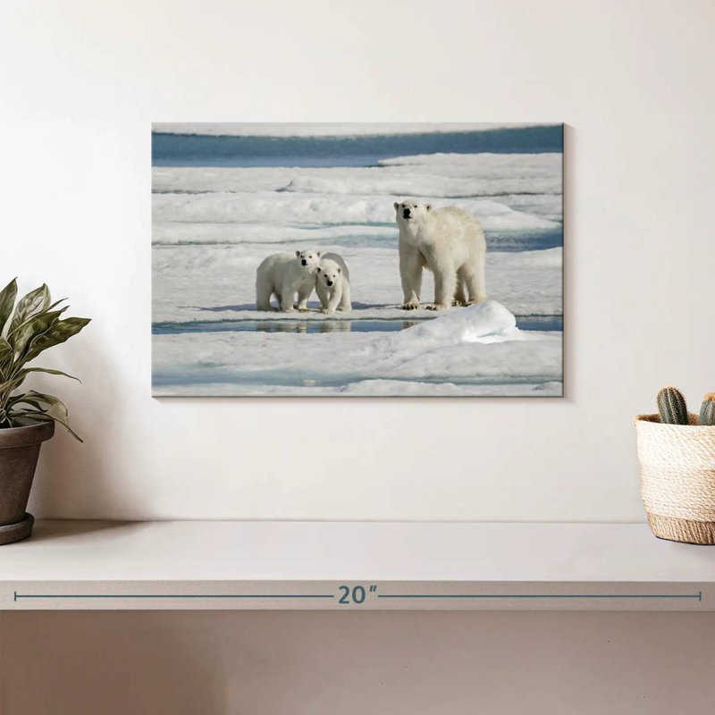 Ours polaires Brampt Longyearbyen, H 8 po x l 12 po