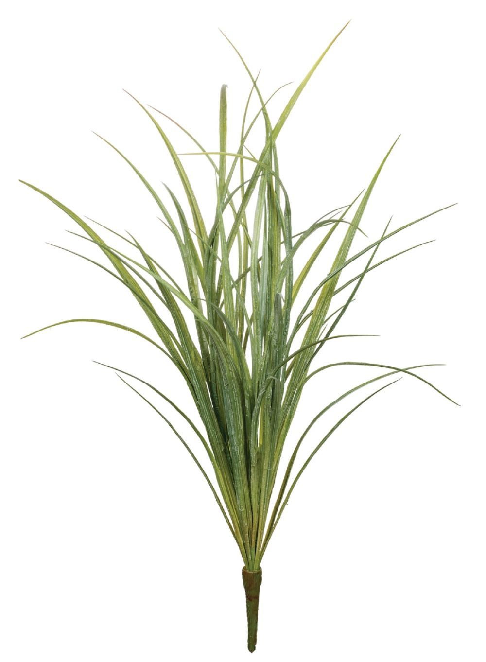 Grass Floral Stems