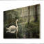 Forest Sawns In Shadows II sur impression sur bois-1653013342