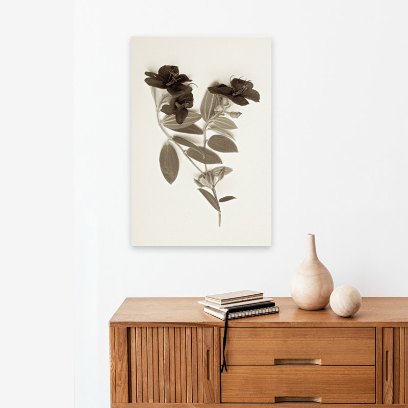 Garden Bloom # 6 - Photographie d'art, H 24 po x l 16 po