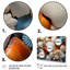 Photo de plage coquillage symphonie 8e - décoration murale nautique et plage-1581766975-1581766972