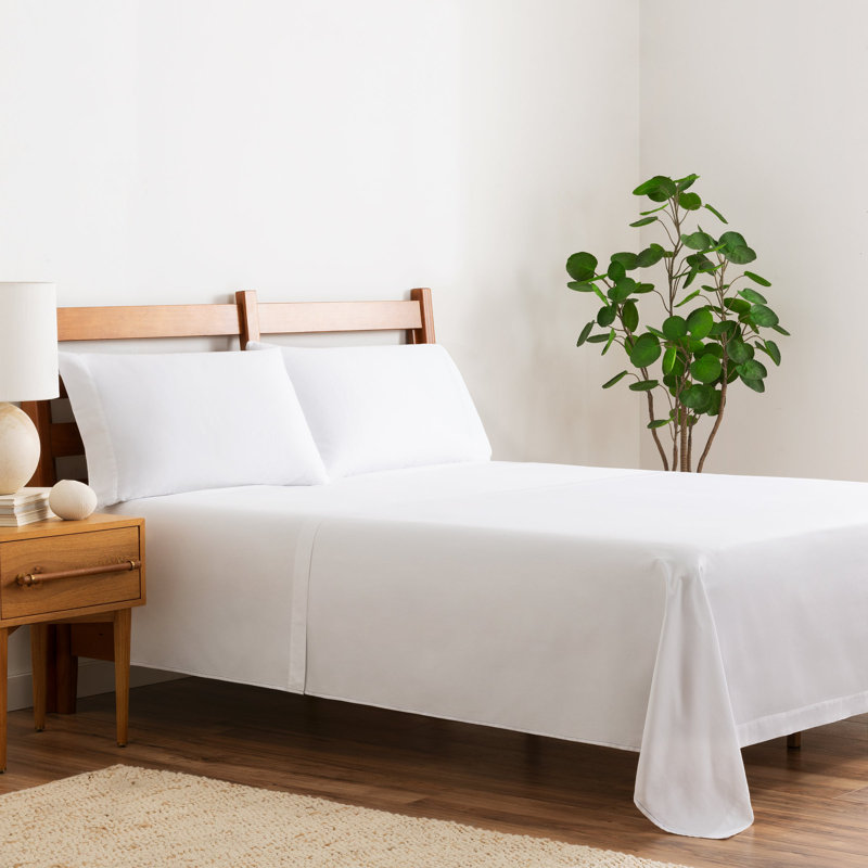 Arkwright Extra Soft Cotton Sateen 300 Thread Count Flat Sheets - Pack of 6, Full/Double Flat Sheet