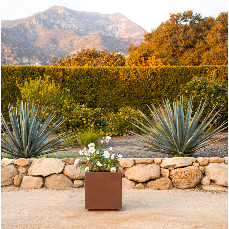 Bac à fleurs cubique en acier Corten Series, H 18 po x l 17 po x P 17 po
