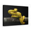 Art mural majestueux Viper-1742075361