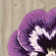 Wendover Floral Indoor Rug
