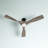 Ferland 60'' Ceiling Fan with LED Lights-1364060016