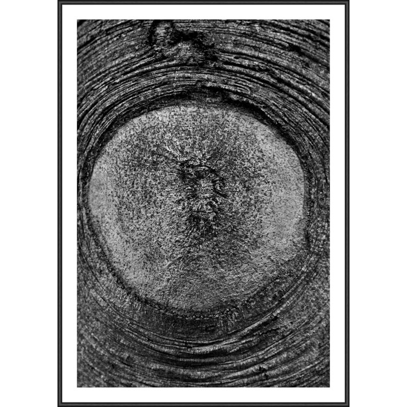 Single Picture Frame Print