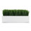 Grass White 16" Rectangle Arrangement