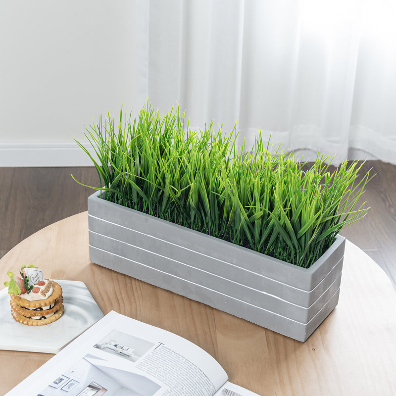 24.9cm Faux Herbs Grass in Cement Planter
