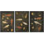 «Moody Carp Fish», ensemble de 3 reproductions d'art sur toile encadrées-109881624-109881625