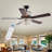 Caruthersville 52'' Ceiling Fan with Light Kit-486052512