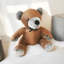 Teedy Bear Door Stop-405229162