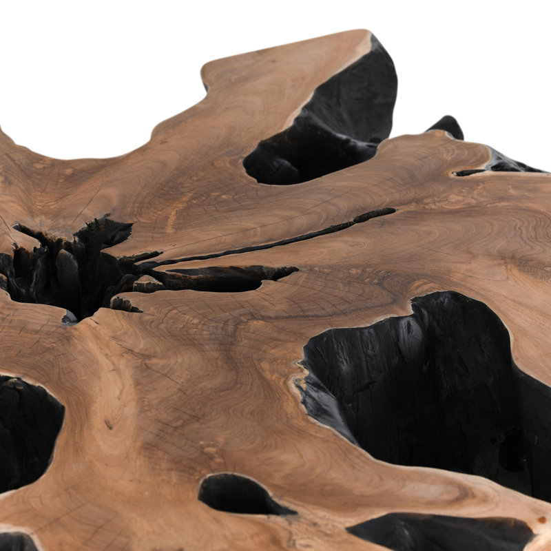 Cypress Root 40" Square Coffee Table Black/Natural