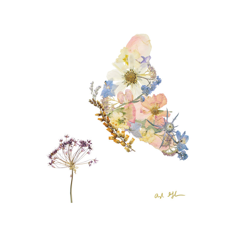 Butterfly 1 Piece Wall Art on Canvas, 45.72 cm H x 45.72 cm W x 1.91 cm D