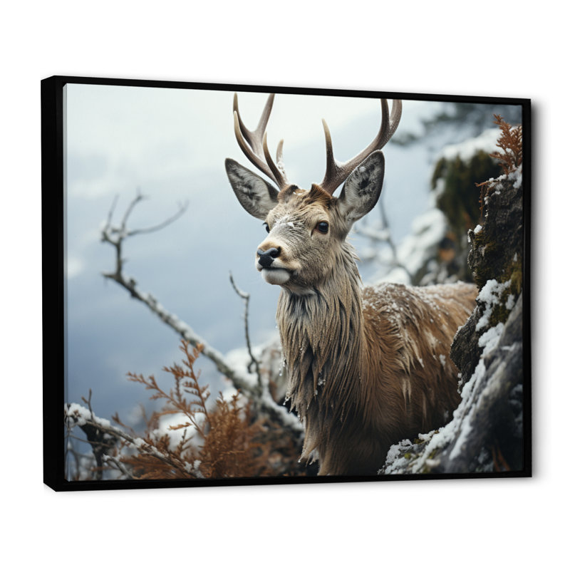 «Winter Deer», photographie monochrome II sur toile, H 34 po x l 44 po x P 1,5 po, Cadre flottant noir