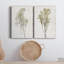 «Farmhouse Pressed Flower I», ensemble de 2 impressions-1475514625-1475514653