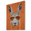 Animal avec lapin et lunettes de soleil sur toile - Lapin amusant-19408308-35105157