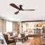 Hot Ventilateurs de plafond noirs modernes de 52 pouces avec lumières