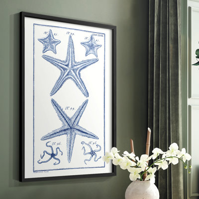 Blue Sea Stars I, reproduction encadrée - bois massif