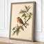 Robin on Blossom Botanical - Wrapped Canvas-2020760166-2020760089