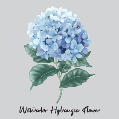 Miran " Blue Hydrangea Flower " by Krit Kongjundee Painting Print
