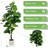 72" Faux Fiddle Leaf Fig Tree