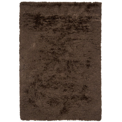 Celecot Hand Loomed Area Rug in Dark Brown